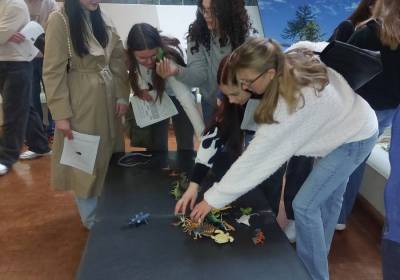 1000116737_original_copy_1