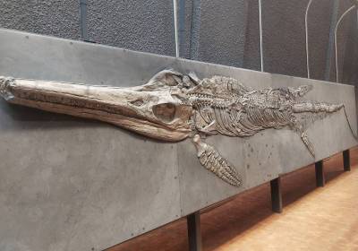 1000116756_original_copy_1_copy_1