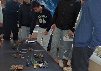 1000116779_original_copy_1_copy_1