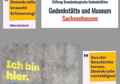 1000145838_original_copy_1