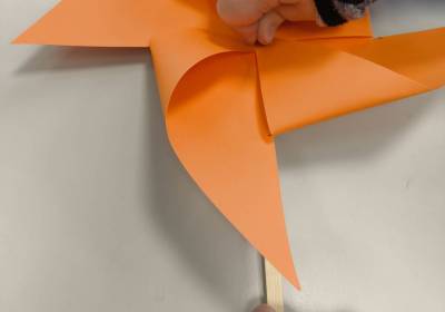 IMG_20260115_091246_original_copy_1