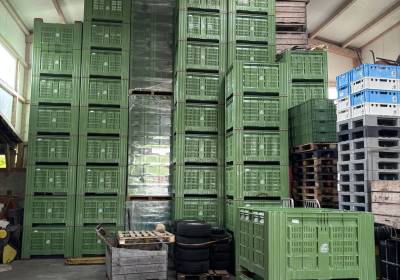 IMG_5944_original_copy_1