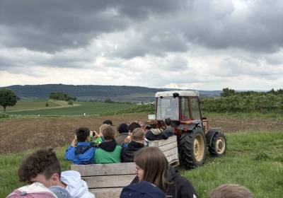 IMG_5950_original_copy_1_copy_1