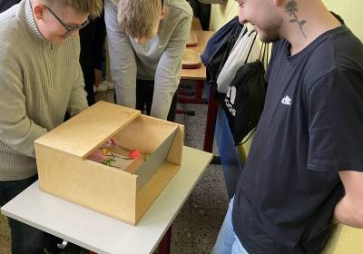 IMG_67321_original_copy_1