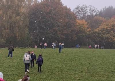 Wald1_original_copy_1