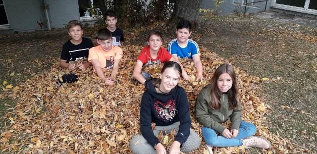 2018 10 24 Foto Herbst Schulgarten