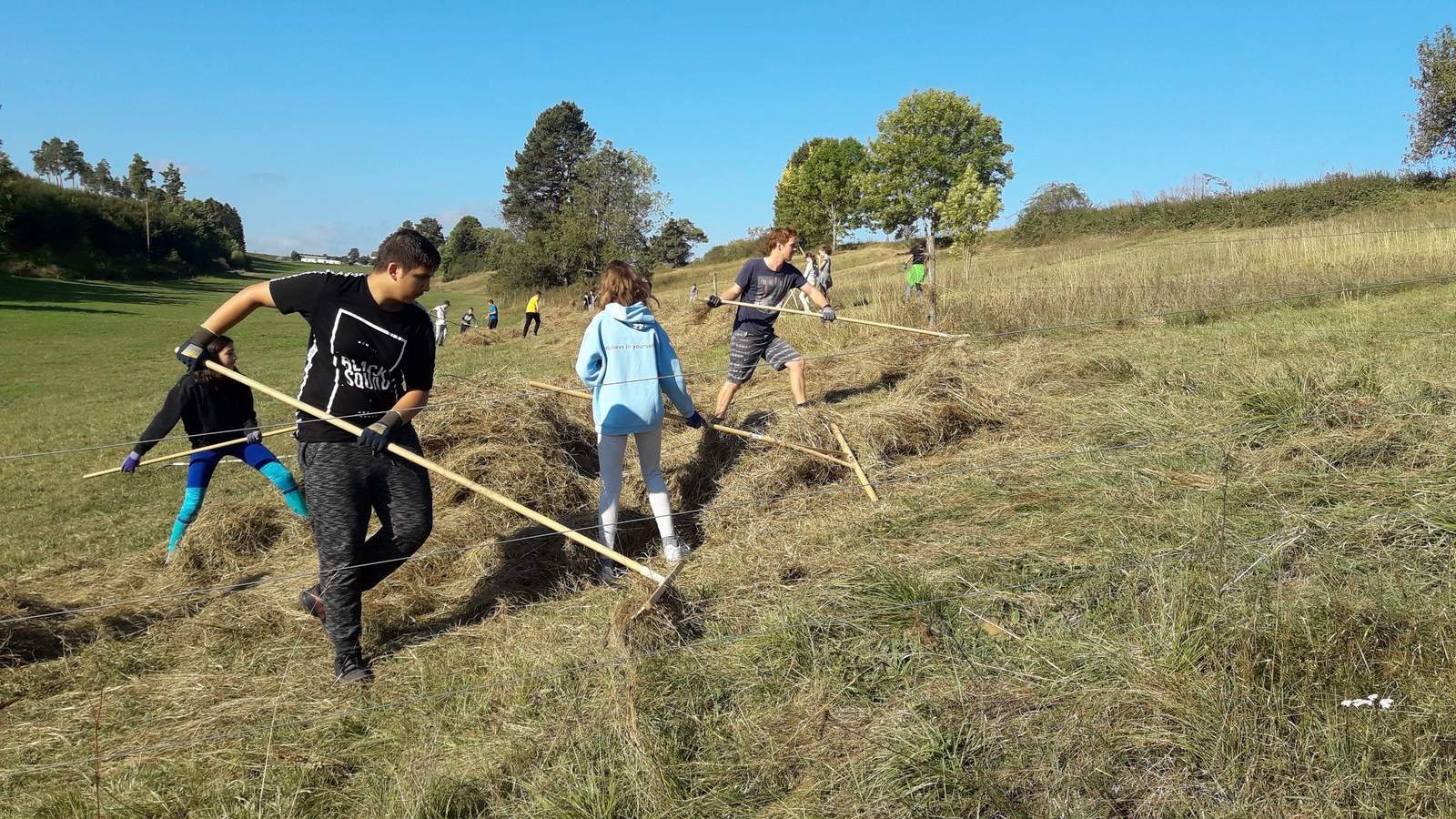 Landschaftspflege im Rauhtal 