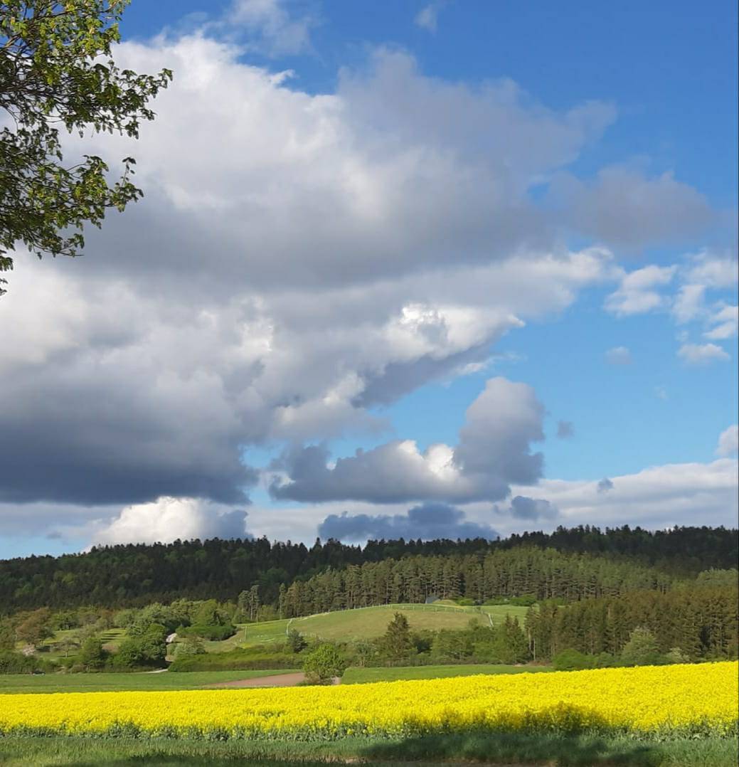 Mini-BNT-Projekt in Klasse 5b
