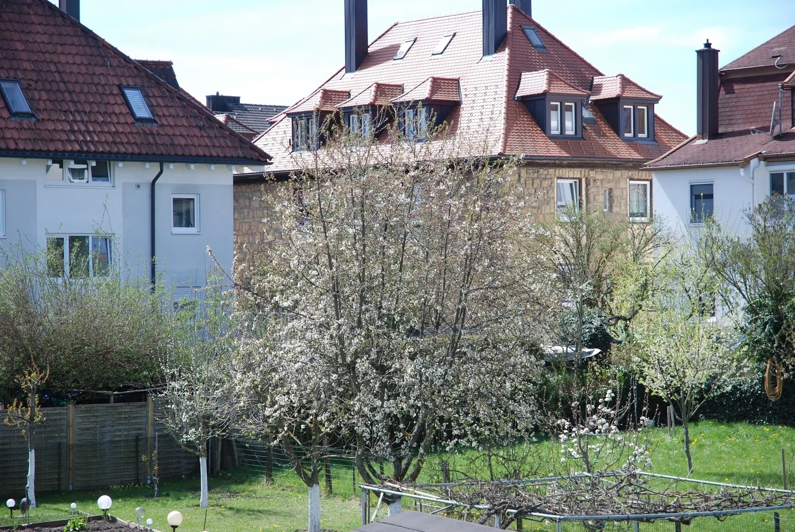 Frühling im Wald auch in Klasse 5a