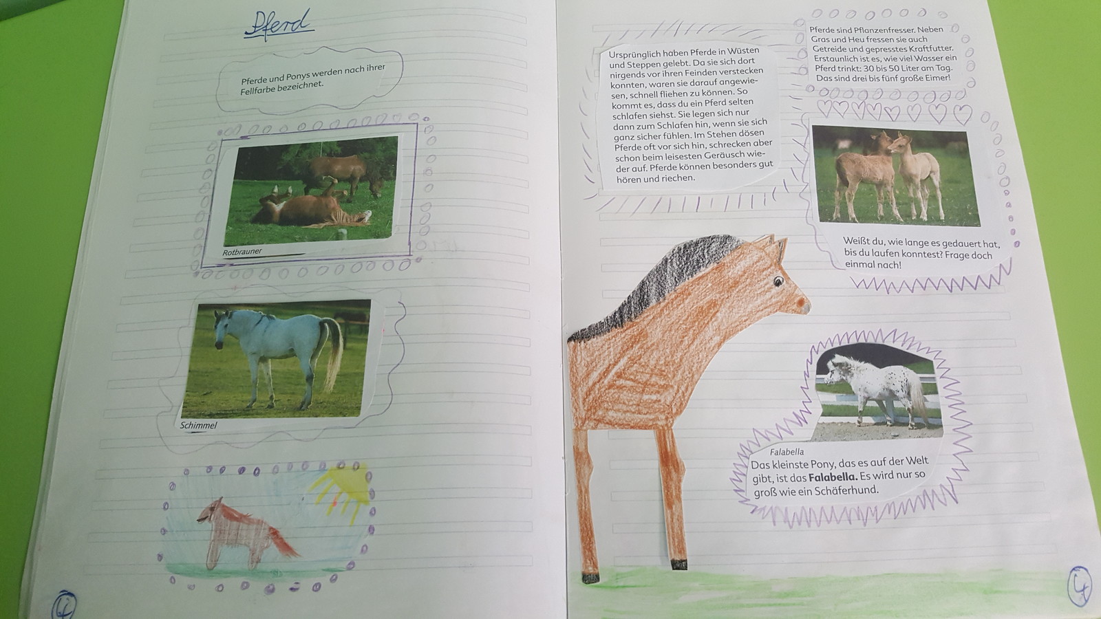 Jahrgangsstufe 3 gestaltet interessante Themenhefte