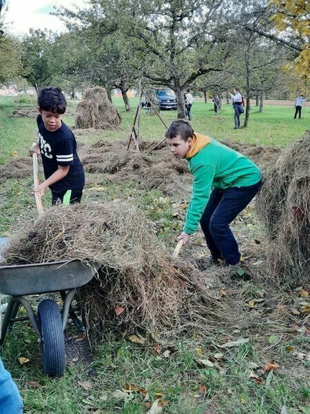 thumb 20211021 143316