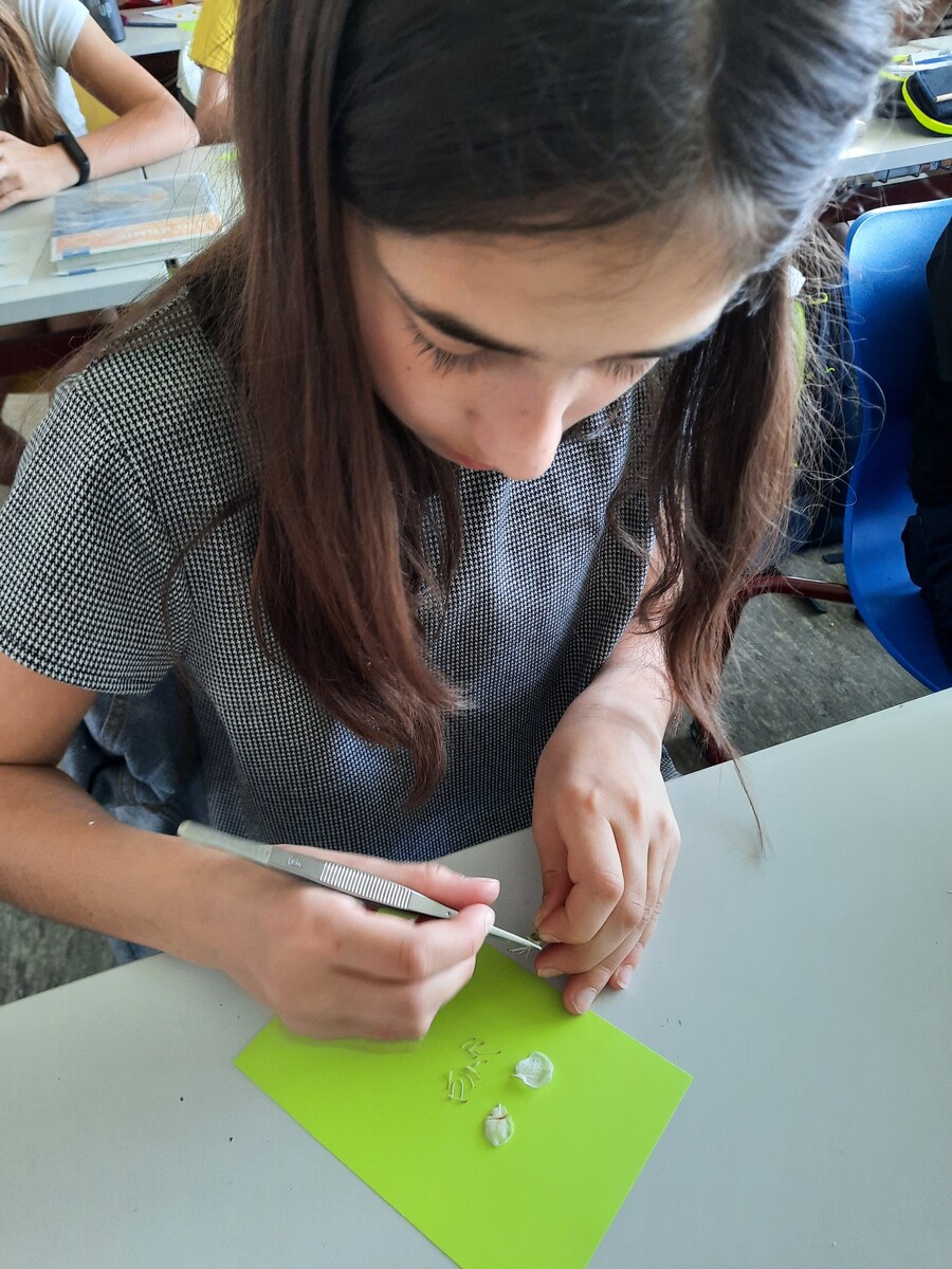 20220518 121322 00000002