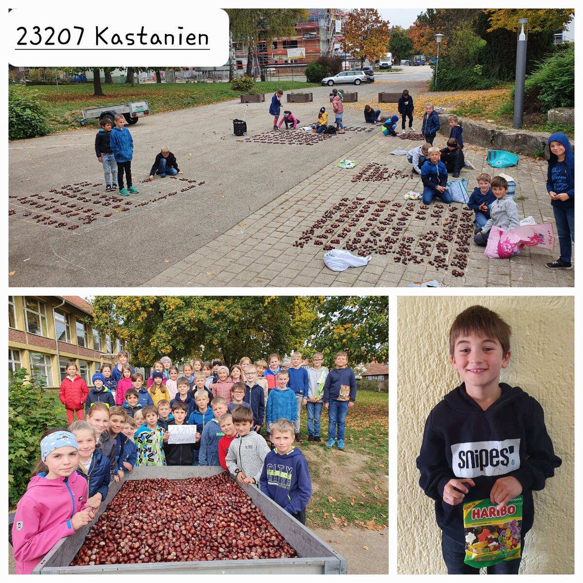 23207 Kastanien