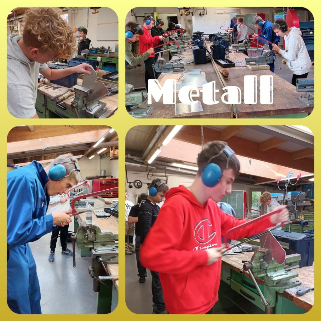 Klassenstufe 8 sammelt wegweisende Eindrücke und Erfahrungen bei ProBeruf