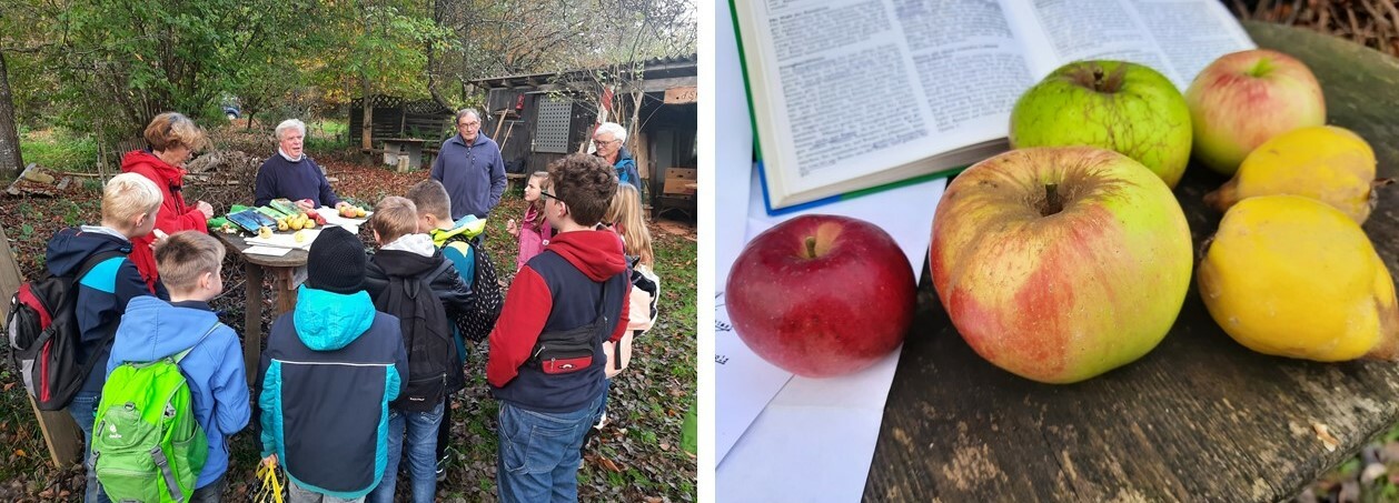 Besuch der Streuobstwiese 