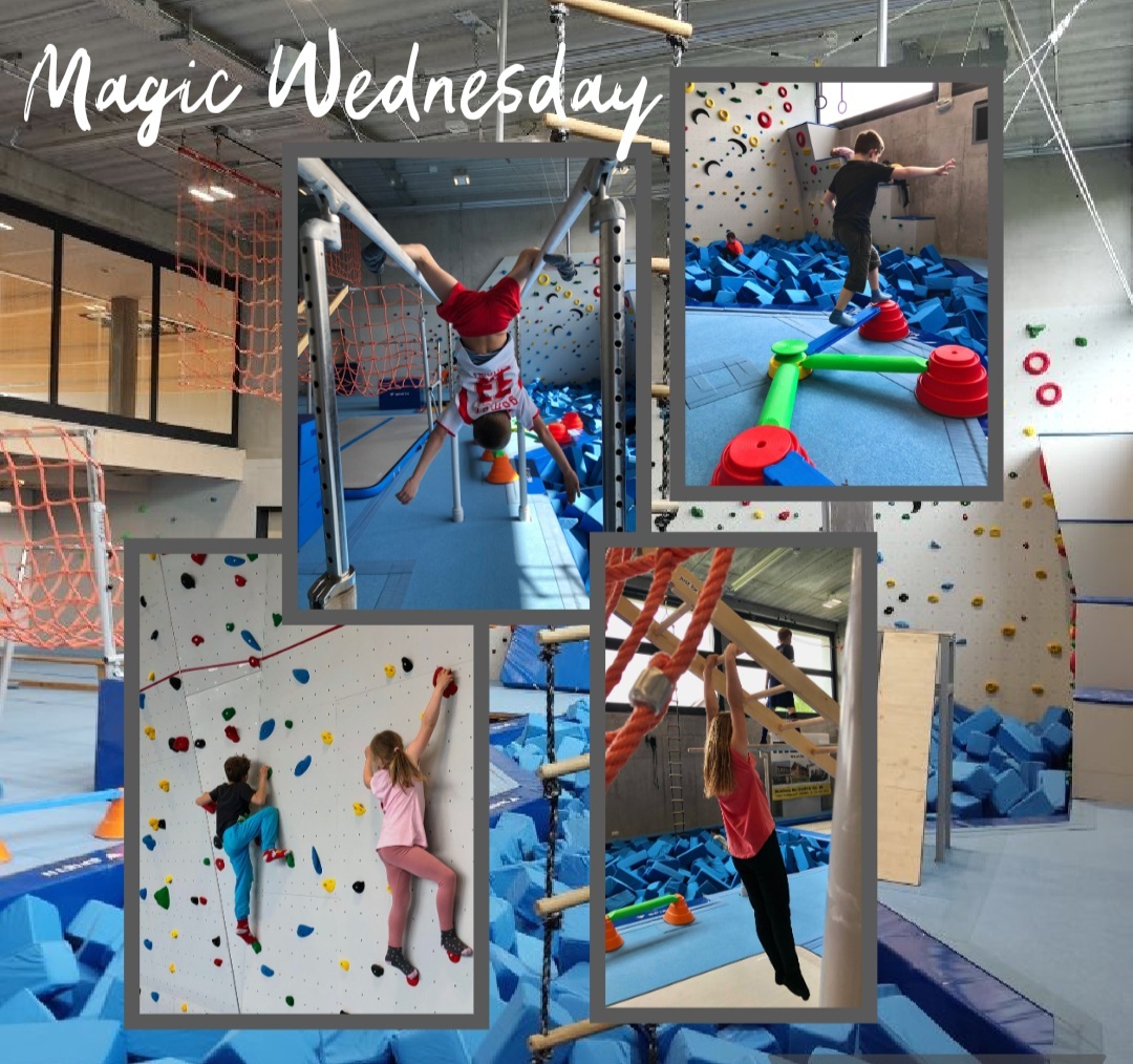 Screenshot 20230526 112618 PicCollage