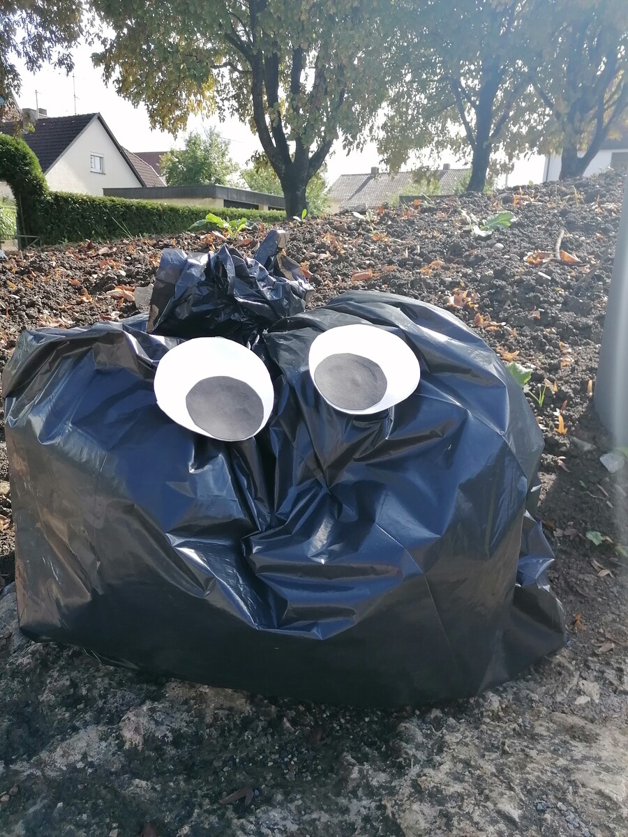 Plogging für die Umwelt