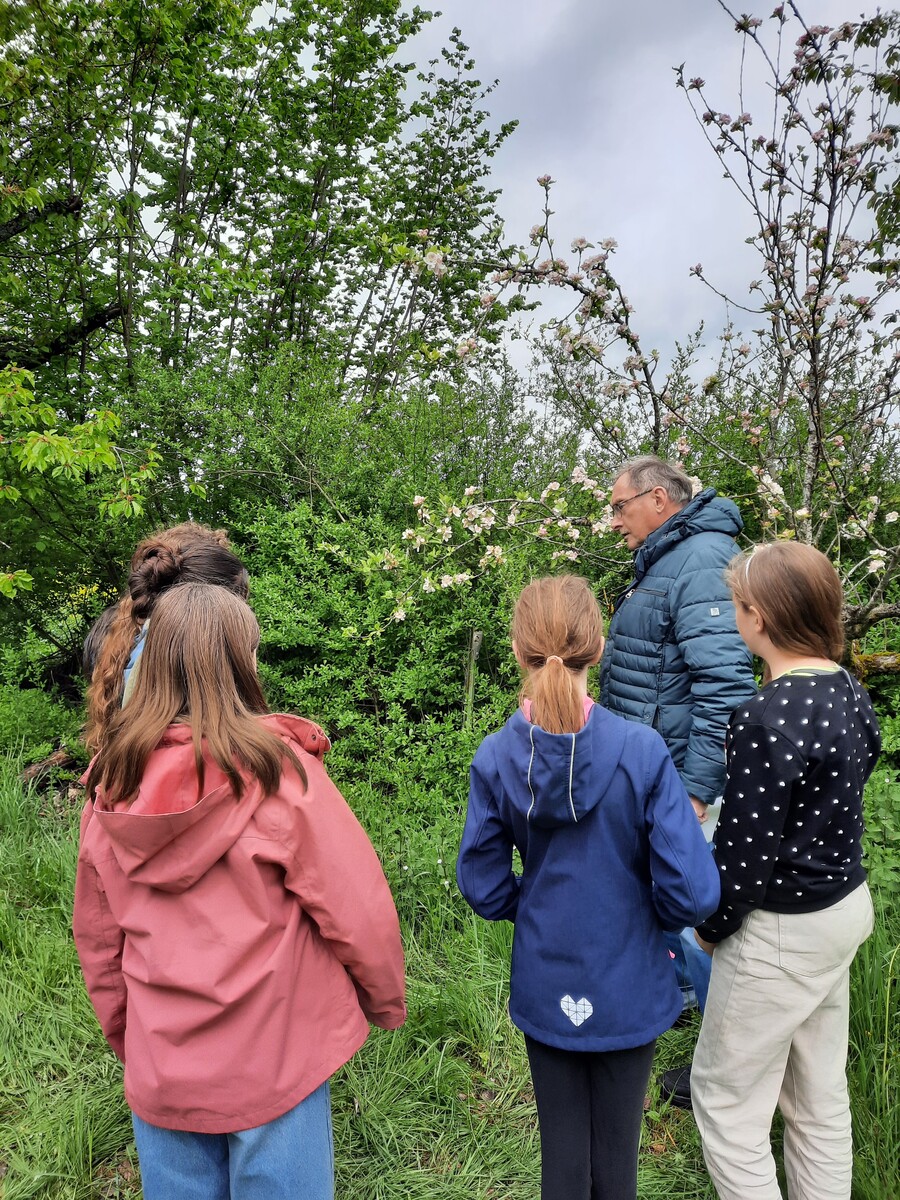 Lehrreicher Arbeitseinsatz auf dem Wiesle