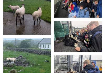 IMG_20250627_184907_original