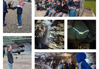 IMG_20250629_122447_original