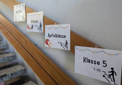 PXL_20250208_122915263_original