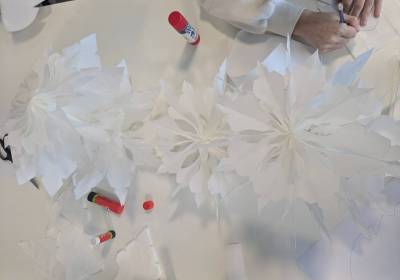 PXL_20251117_110746695_original