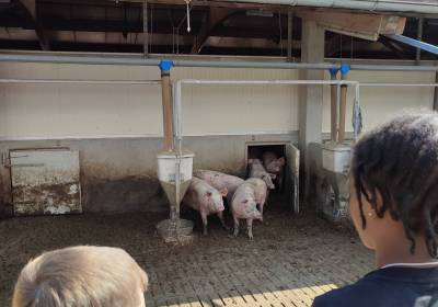 img_20240723_102544_original